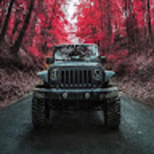 Meet your Posher, Billy